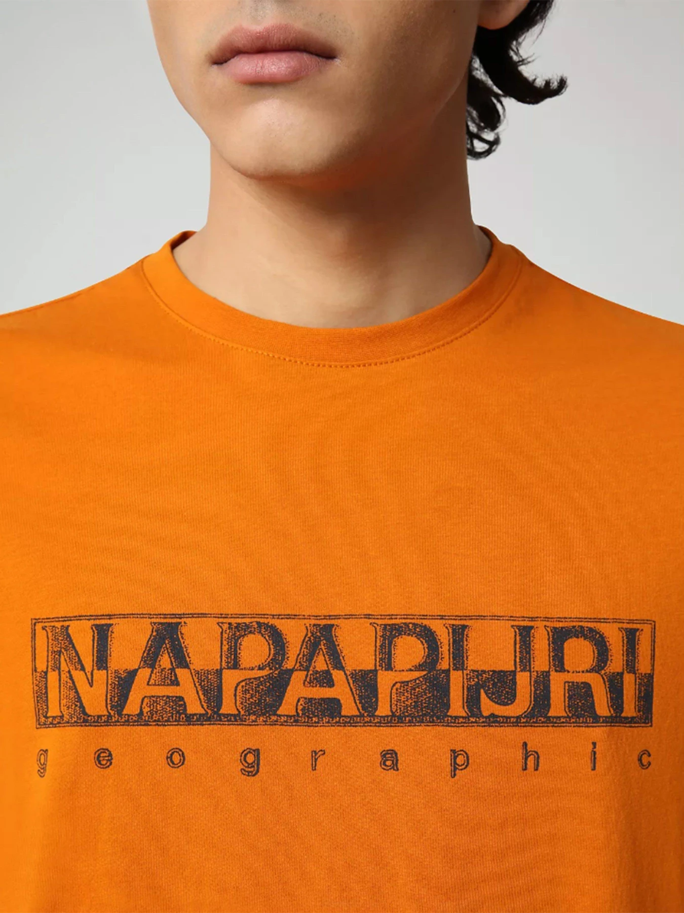 Футболки и поло Napapijri Sallar модель NP0A4F9OA581 Футболки и поло Napapijri Sallar модель NP0A4F9OA581 Фото