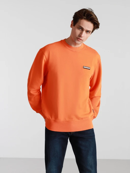 Худи и свитшоты Napapijri Sweatshirt Patch модель NP0A4FF7A1A1 Фото