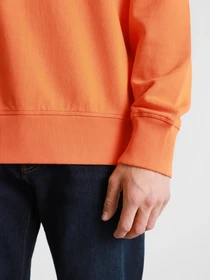 Худи и свитшоты Napapijri Sweatshirt Patch модель NP0A4FF7A1A1 Фото