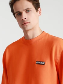 Худи и свитшоты Napapijri Sweatshirt Patch модель NP0A4FF7A1A1 Фото