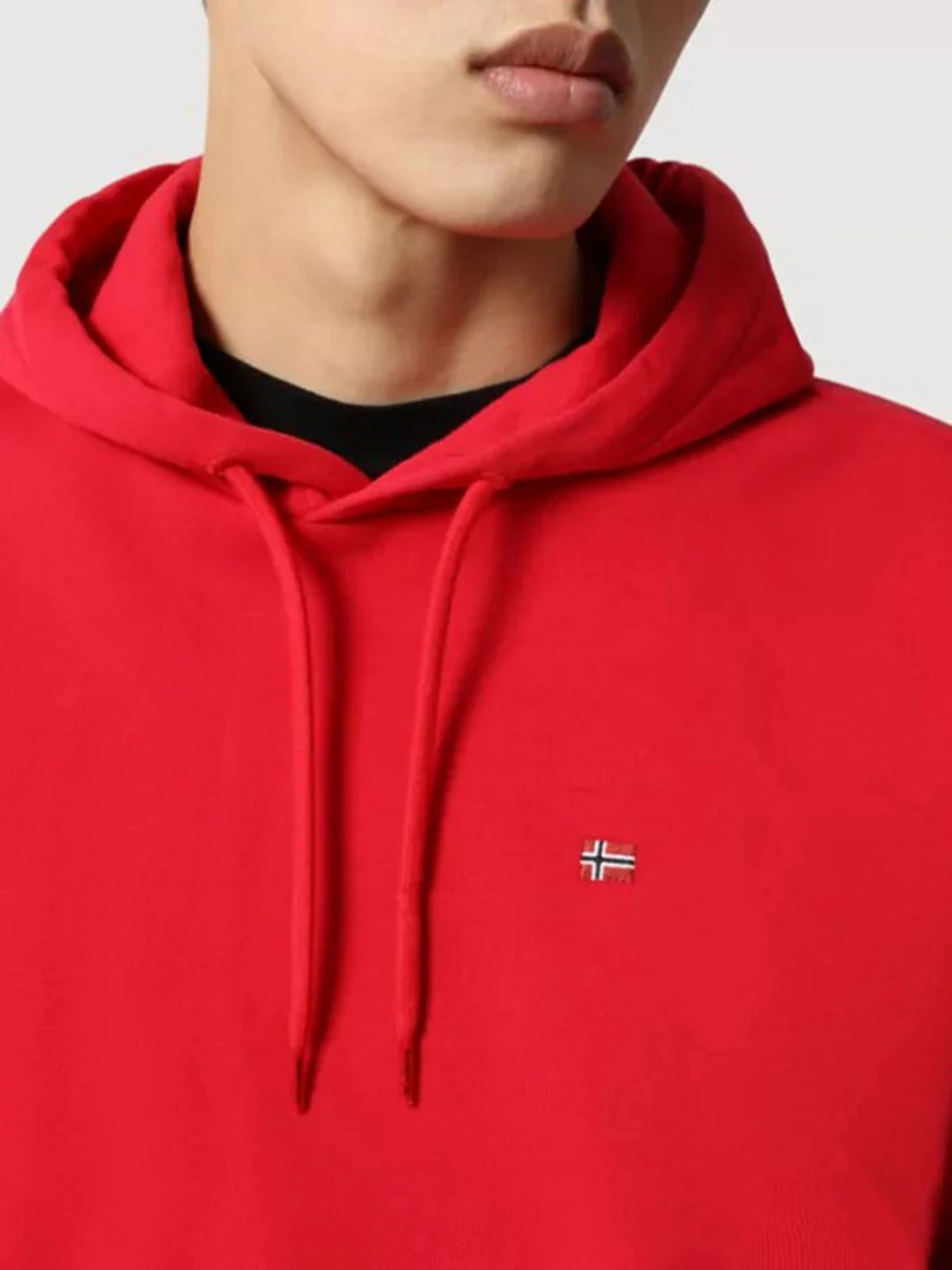 Худі та світшоти Napapijri BALIS HOOD модель NP0A4FQVR171 Худі та світшоти Napapijri BALIS HOOD модель NP0A4FQVR171 Фото