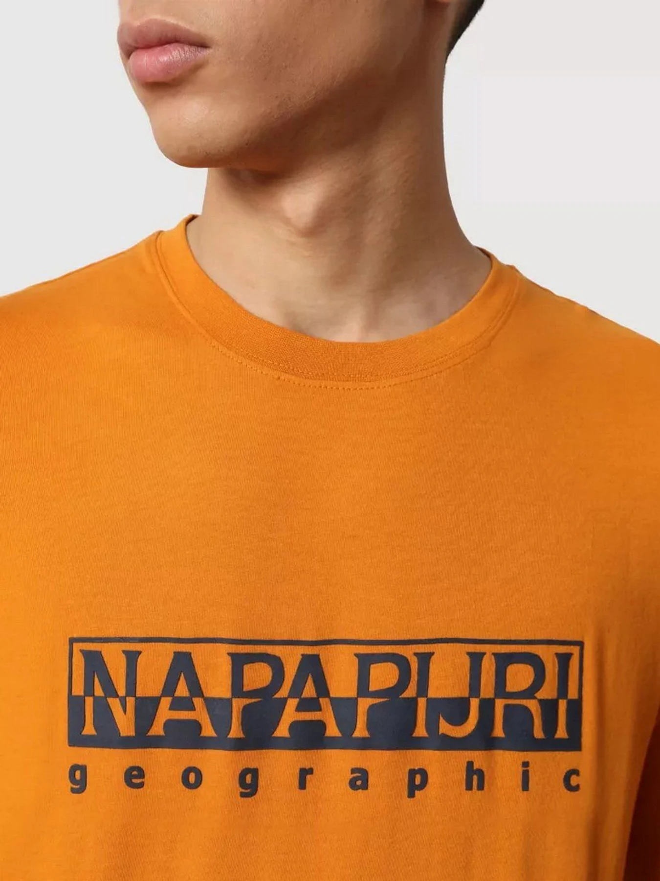Худи и свитшоты Napapijri Serber модель NP0A4FRMY1Q1 Фото