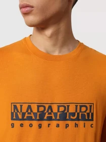 Худи и свитшоты Napapijri Serber модель NP0A4FRMY1Q1 Фото
