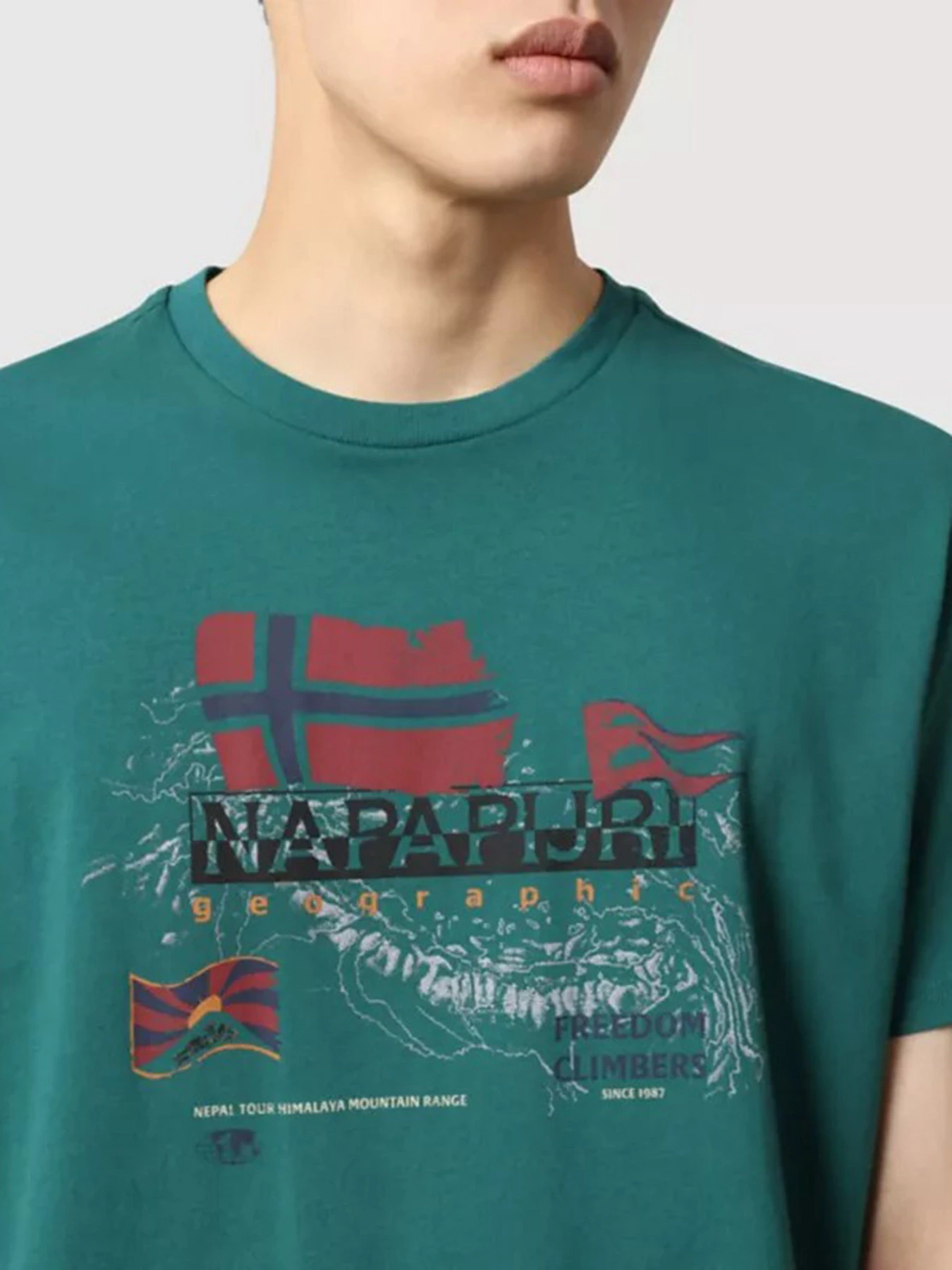 Футболки і поло Napapijri STARLIGHT модель NP0A4FVWGI21 Футболки і поло Napapijri STARLIGHT модель NP0A4FVWGI21 Фото