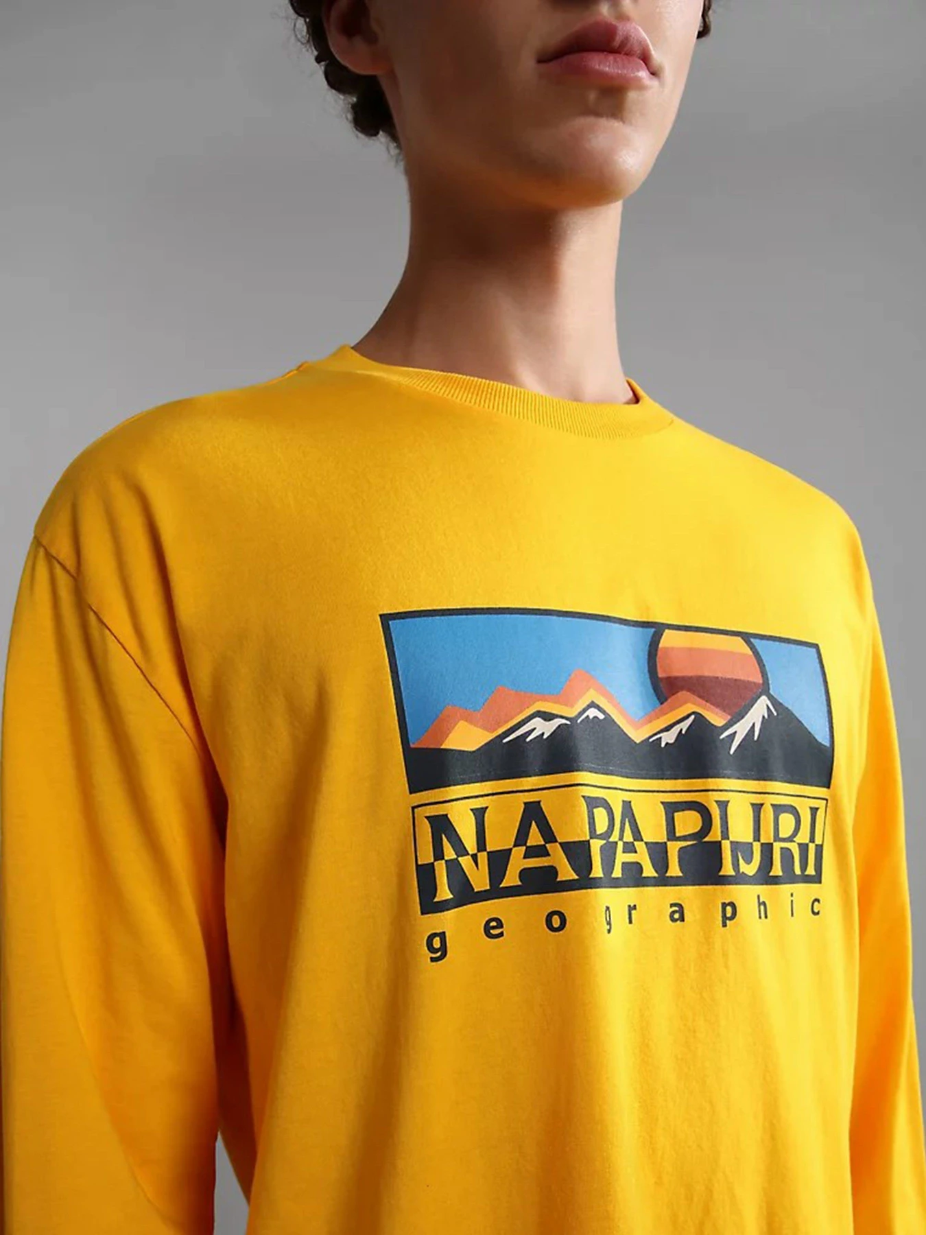 Худи и свитшоты Napapijri  Freestyle модель NP0A4GRMYE11 Фото