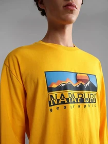 Худи и свитшоты Napapijri  Freestyle модель NP0A4GRMYE11 Фото