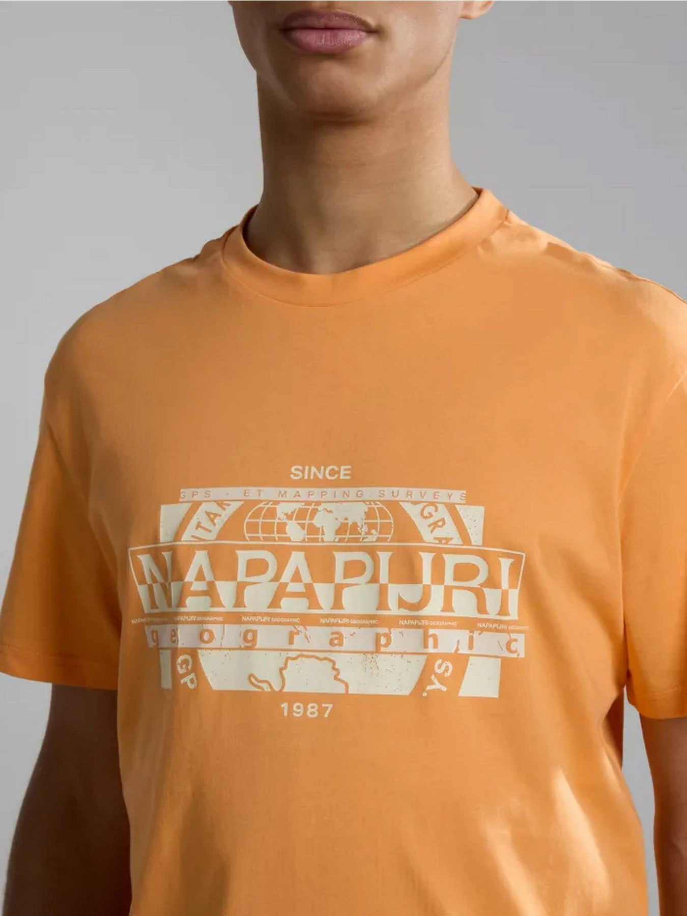 Футболки и поло Napapijri S-MANTA SS модель NP0A4H2CA571 Футболки и поло Napapijri S-MANTA SS модель NP0A4H2CA571 Фото