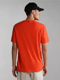 Футболки и поло Napapijri S-BOLLO SS 1 модель NP0A4H9KR051 Фото