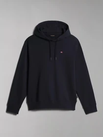 Худи и свитшоты Napapijri Balis H Sum модель NP0A4H8A1761 Фото