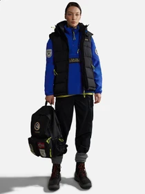 Худи и свитшоты Napapijri Mcmurdo Half-Zip Fleece модель NP0A4HDNB5A1 Фото