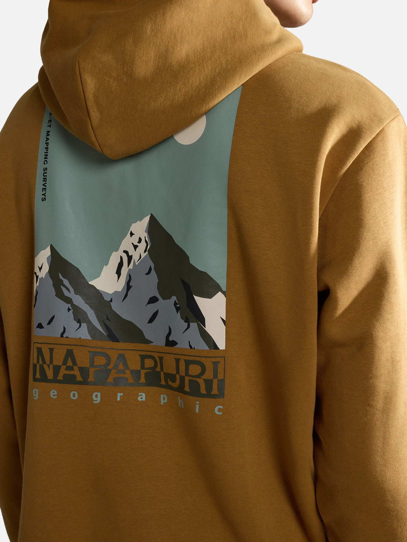 Худи и свитшоты Napapijri Telemark модель NP0A4HRBN971 Худи и свитшоты Napapijri Telemark модель NP0A4HRBN971 Фото