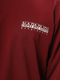 Худи и свитшоты Napapijri Telemark модель NP0A4HRER541 Фото