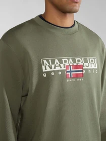 Худи и свитшоты Napapijri B-Aylmer модель NP0A4HTMGAE1 Фото