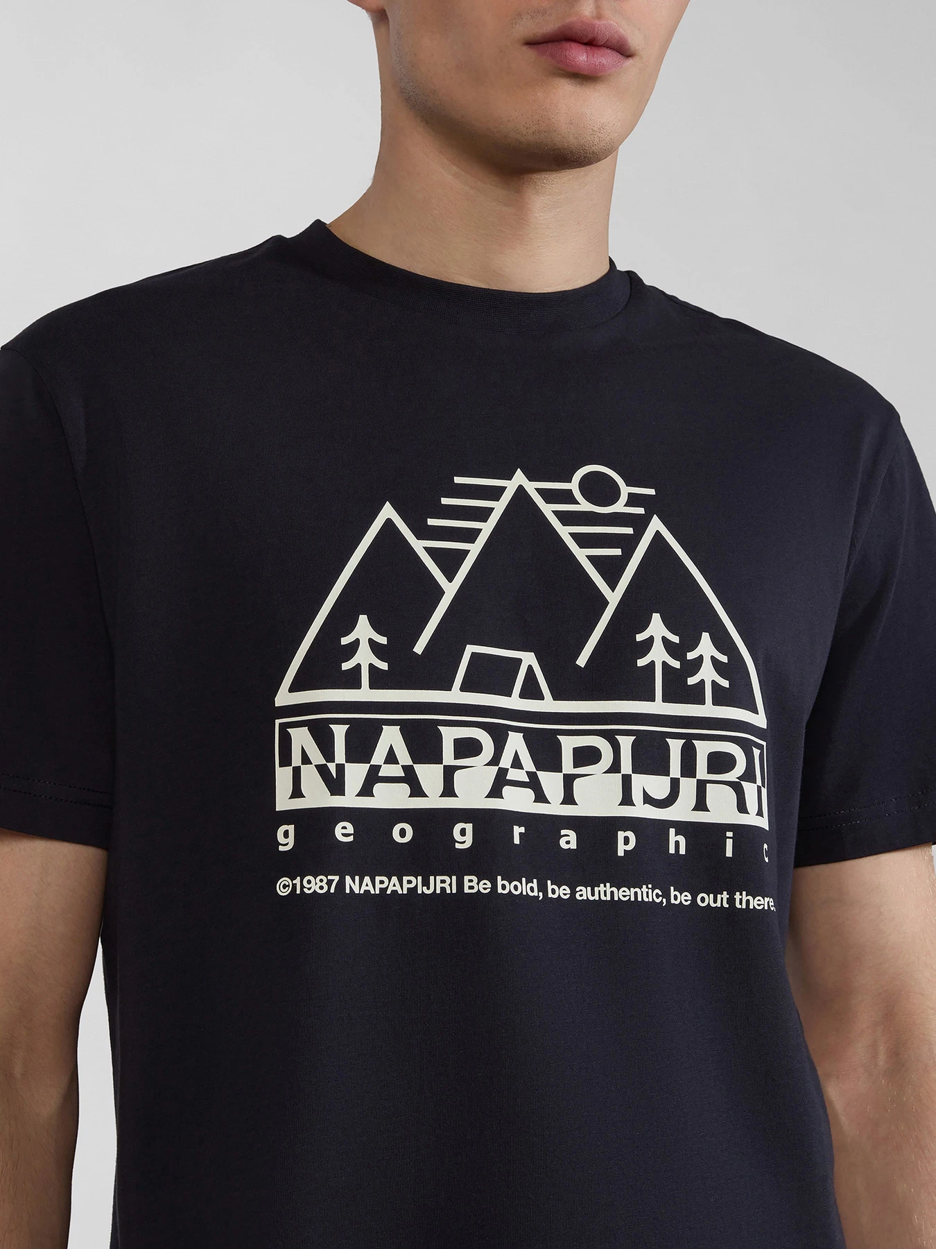 Футболки и поло Napapijri S-Faber модель NP0A4HQE0411 Футболки и поло Napapijri S-Faber модель NP0A4HQE0411 Фото
