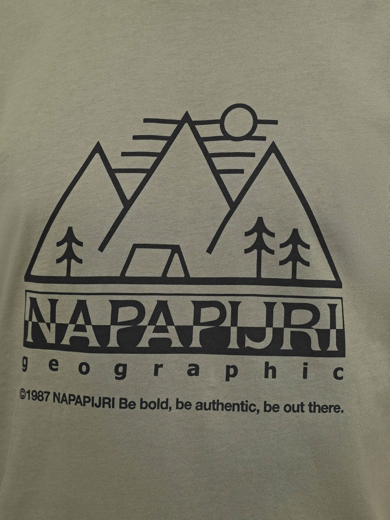 Футболки и поло Napapijri S-Faber модель NP0A4HQEGAE1 Футболки и поло Napapijri S-Faber модель NP0A4HQEGAE1 Фото
