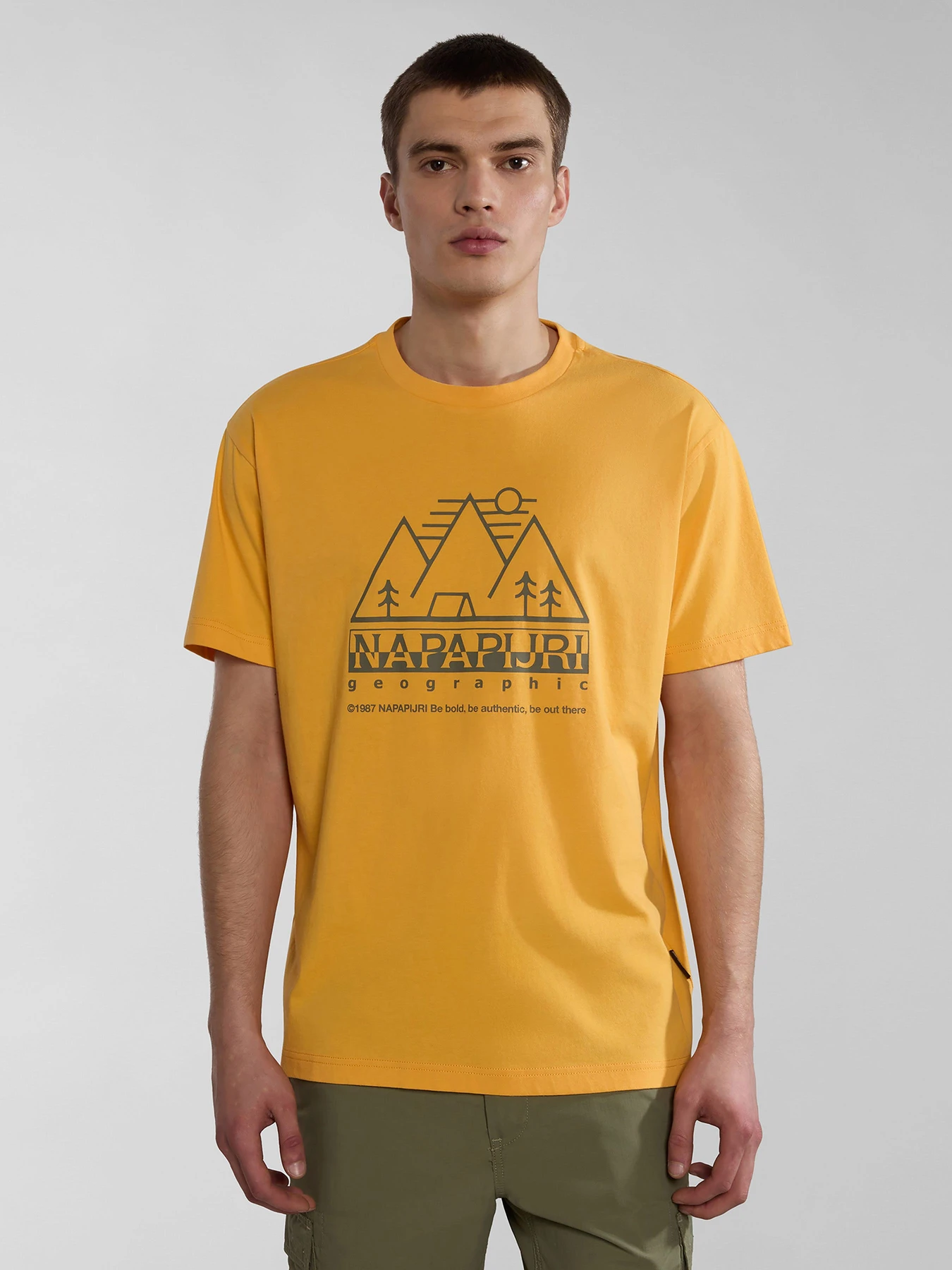 Футболки і поло Napapijri S-Faber модель NP0A4HQEY1J1 Футболки і поло Napapijri S-Faber модель NP0A4HQEY1J1 Фото