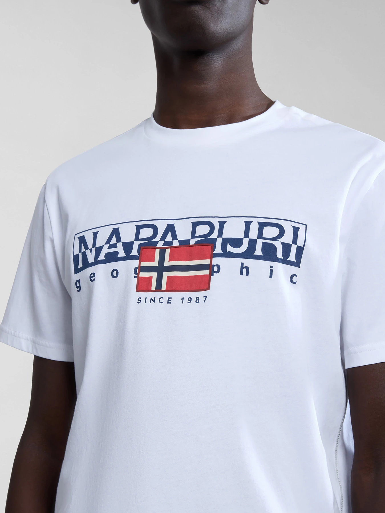 Футболки і поло Napapijri S-Aylmer модель NP0A4HTO0021 Футболки і поло Napapijri S-Aylmer модель NP0A4HTO0021 Фото