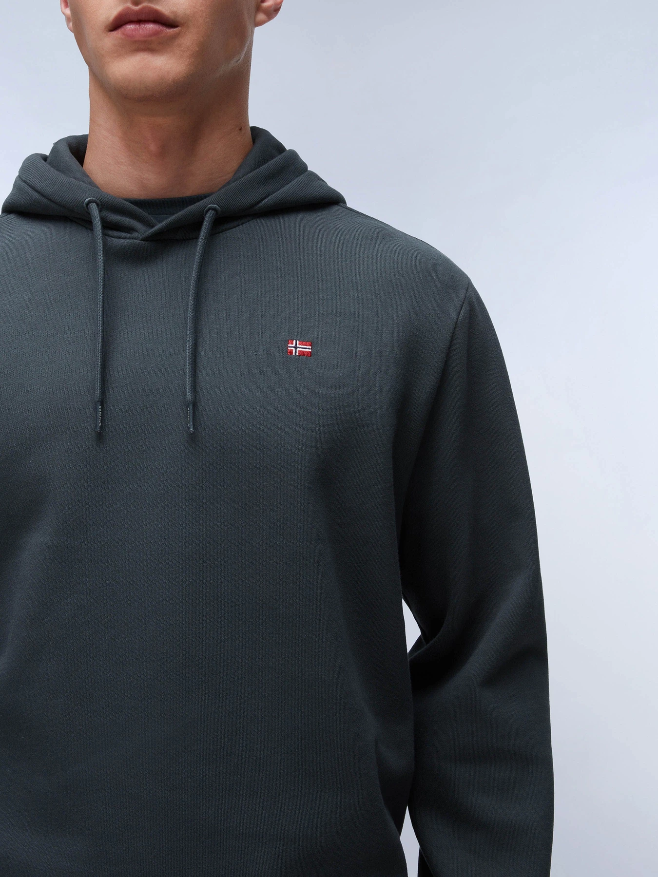 Худи и свитшоты Napapijri Balis Hood модель NP0A4FQVG1S1 Фото