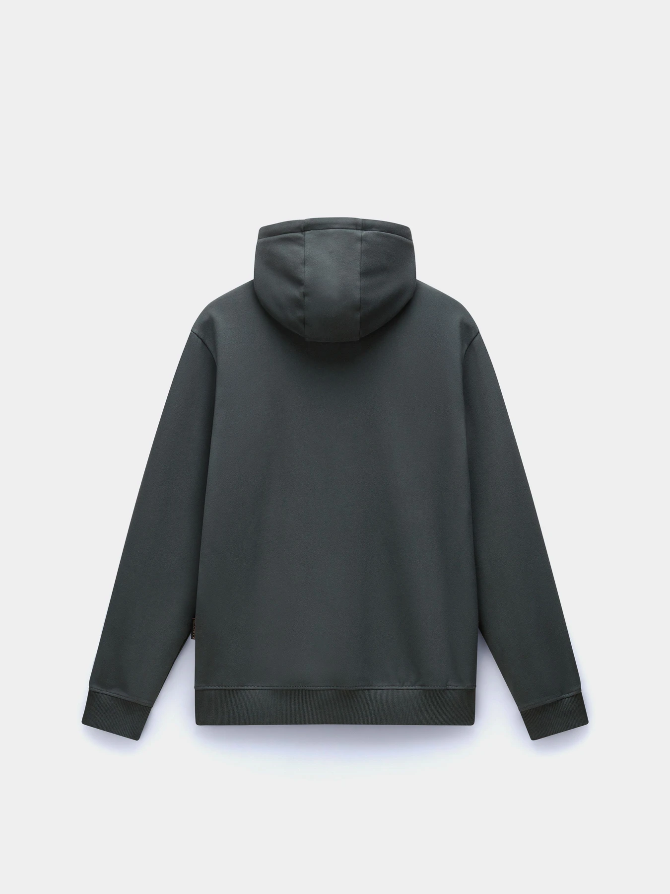 Худи и свитшоты Napapijri Balis Hood модель NP0A4FQVG1S1 Фото