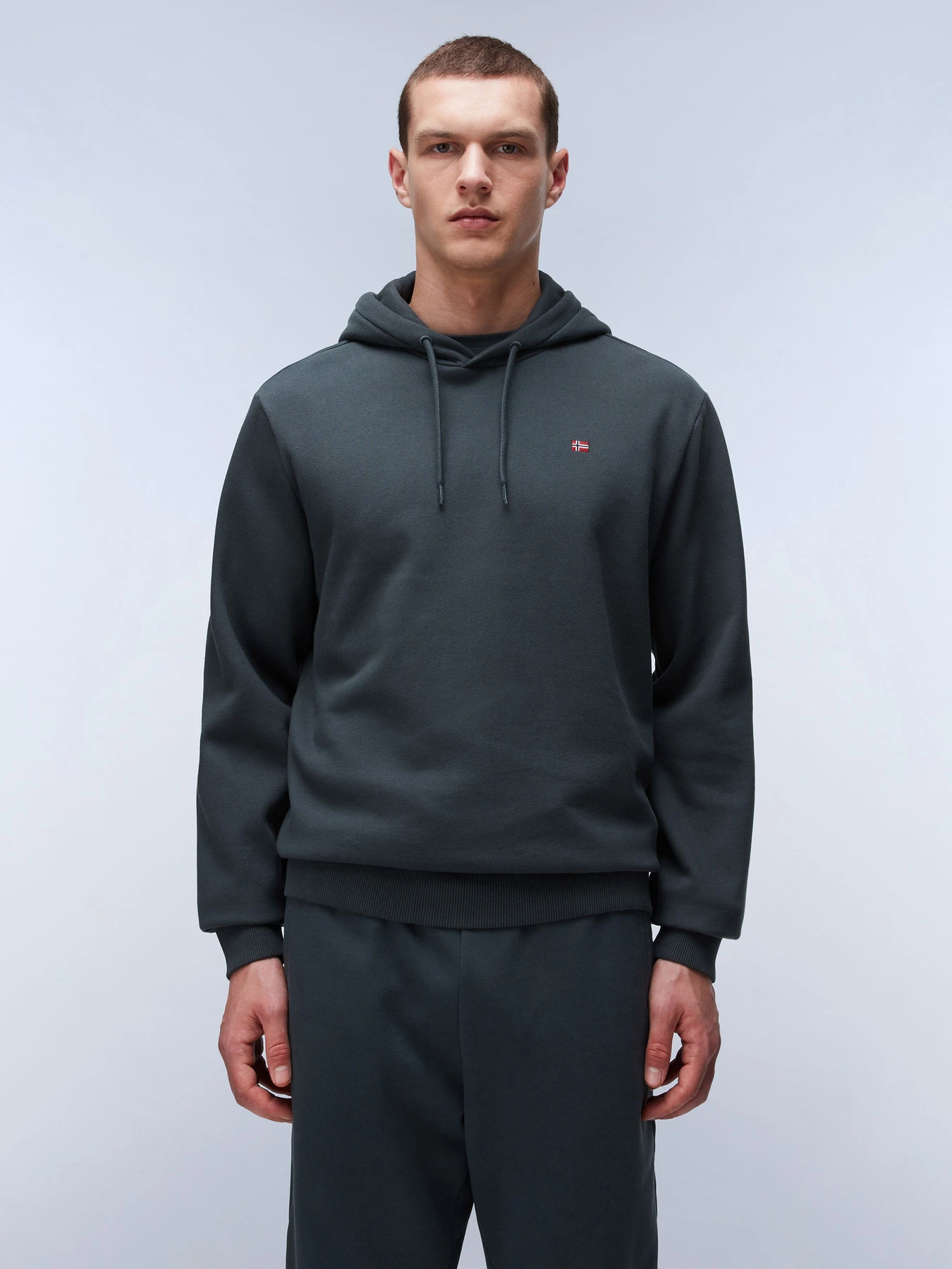 Худи и свитшоты Napapijri Balis Hood модель NP0A4FQVG1S1 Фото