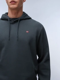 Худи и свитшоты Napapijri Balis Hood модель NP0A4FQVG1S1 Фото