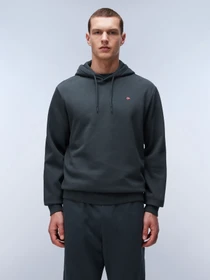 Худи и свитшоты Napapijri Balis Hood модель NP0A4FQVG1S1 Фото