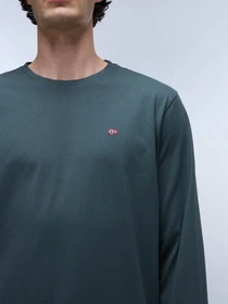 Худи и свитшоты Napapijri Salis Ls 1 модель NP0A4HN7G1S1 Фото