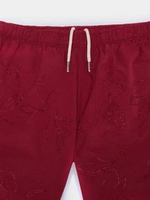 Одяг для пляжу Napapijri Brolio Swimming модель NP0A4IBMFCR1 Фото