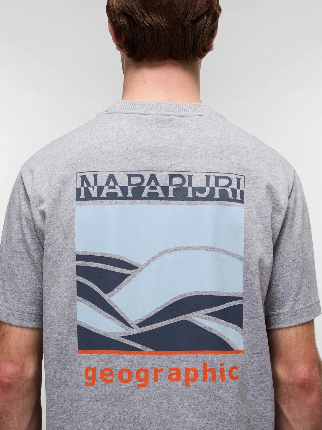Футболки і поло Napapijri Sovana модель NP0A4IE41601 Футболки і поло Napapijri Sovana модель NP0A4IE41601 Фото