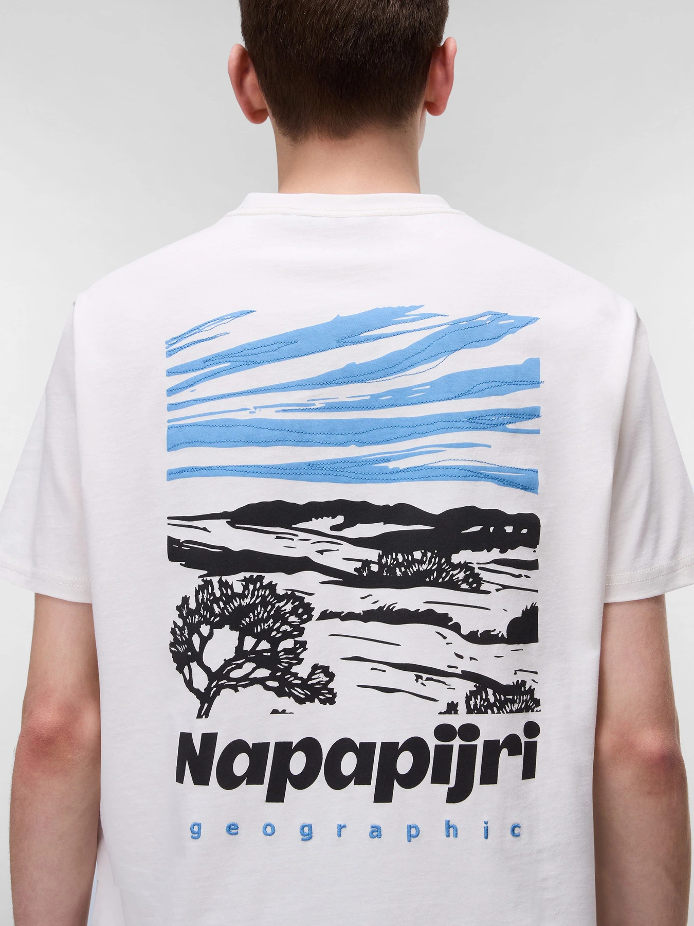 Футболки і поло Napapijri Vignoni модель NP0A4ILXN1A1 Футболки і поло Napapijri Vignoni модель NP0A4ILXN1A1 Фото