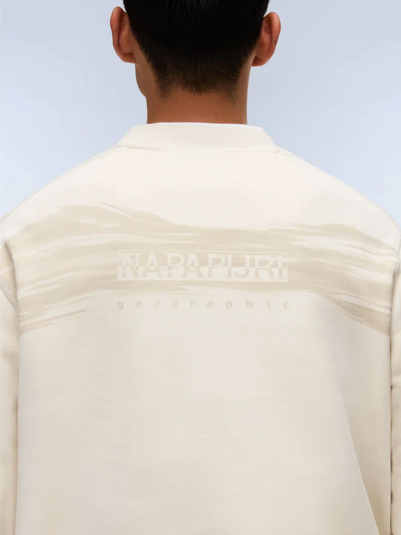 Худи и свитшоты Napapijri B-BACK GRAPHIC модель NP0A88STN1J1 Фото