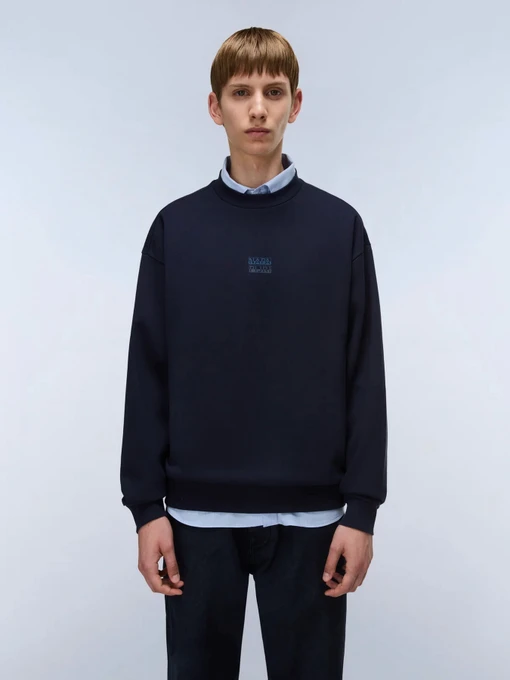 Худи и свитшоты Napapijri B-ELEVATEDOGO модель NP0A88UO1761 Фото