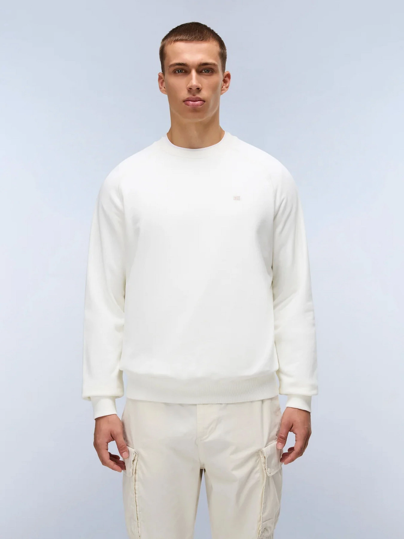 Худи и свитшоты Napapijri B-NEDLES модель NP0A893M2061 Худи и свитшоты Napapijri B-NEDLES модель NP0A893M2061 Фото