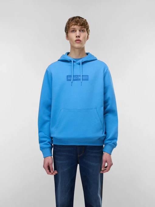 Худи и свитшоты Napapijri B-BOX LOGO модель NP0A4I7VB9A1 Фото