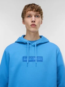 Худи и свитшоты Napapijri B-BOX LOGO модель NP0A4I7VB9A1 Фото