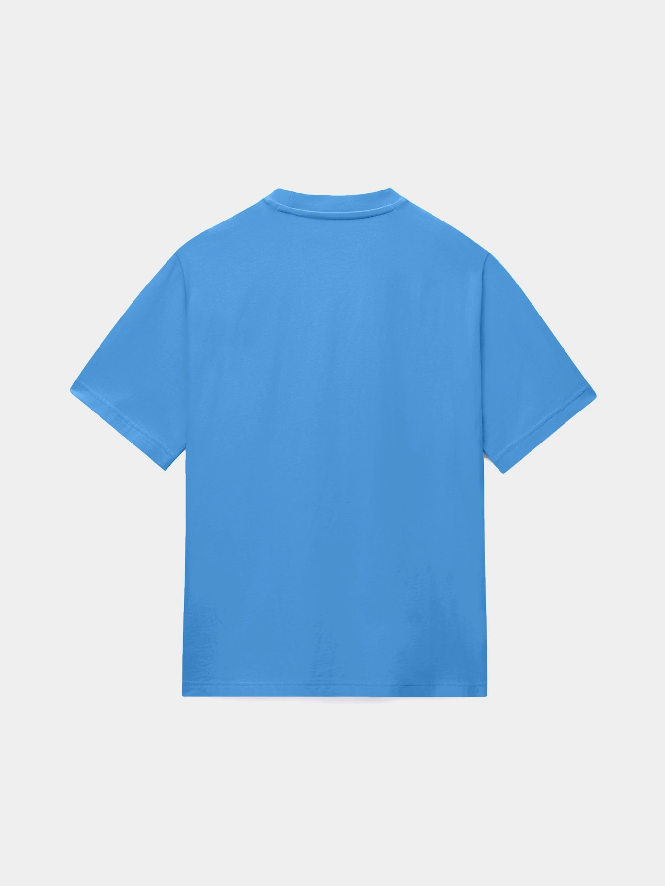Футболки і поло Napapijri S-BOX LOGO SS модель NP0A4IFLB9A1 Фото