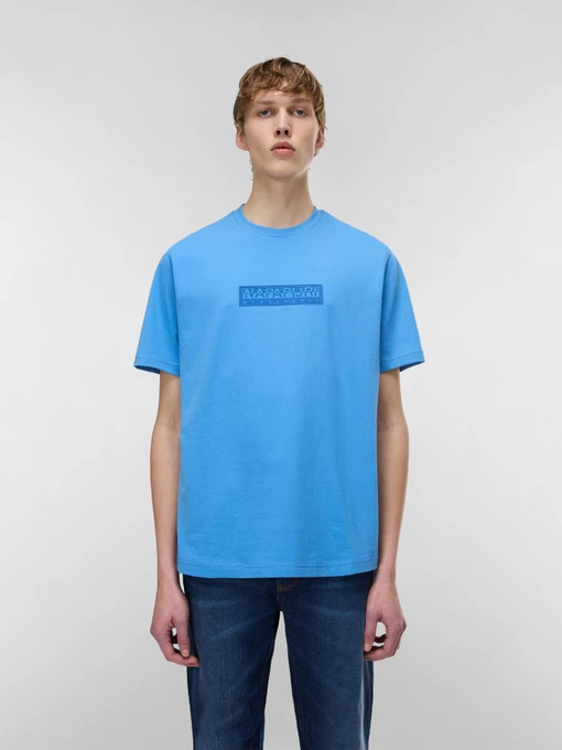 Футболки і поло Napapijri S-BOX LOGO SS модель NP0A4IFLB9A1 Фото