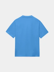 Футболки і поло Napapijri S-BOX LOGO SS модель NP0A4IFLB9A1 Фото