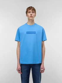 Футболки и поло Napapijri S-BOX LOGO SS модель NP0A4IFLB9A1 Фото