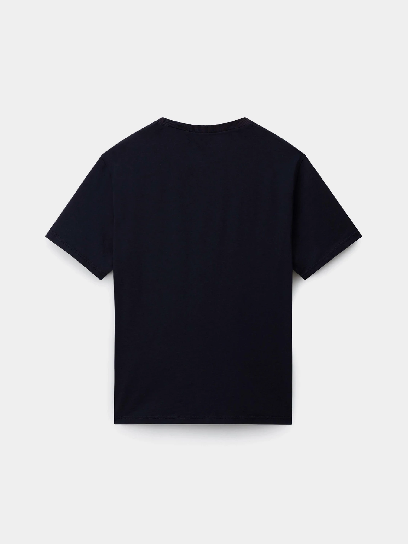Футболки и поло Napapijri S-NEDLES модель NP0A893E1761 Футболки и поло Napapijri S-NEDLES модель NP0A893E1761 Фото