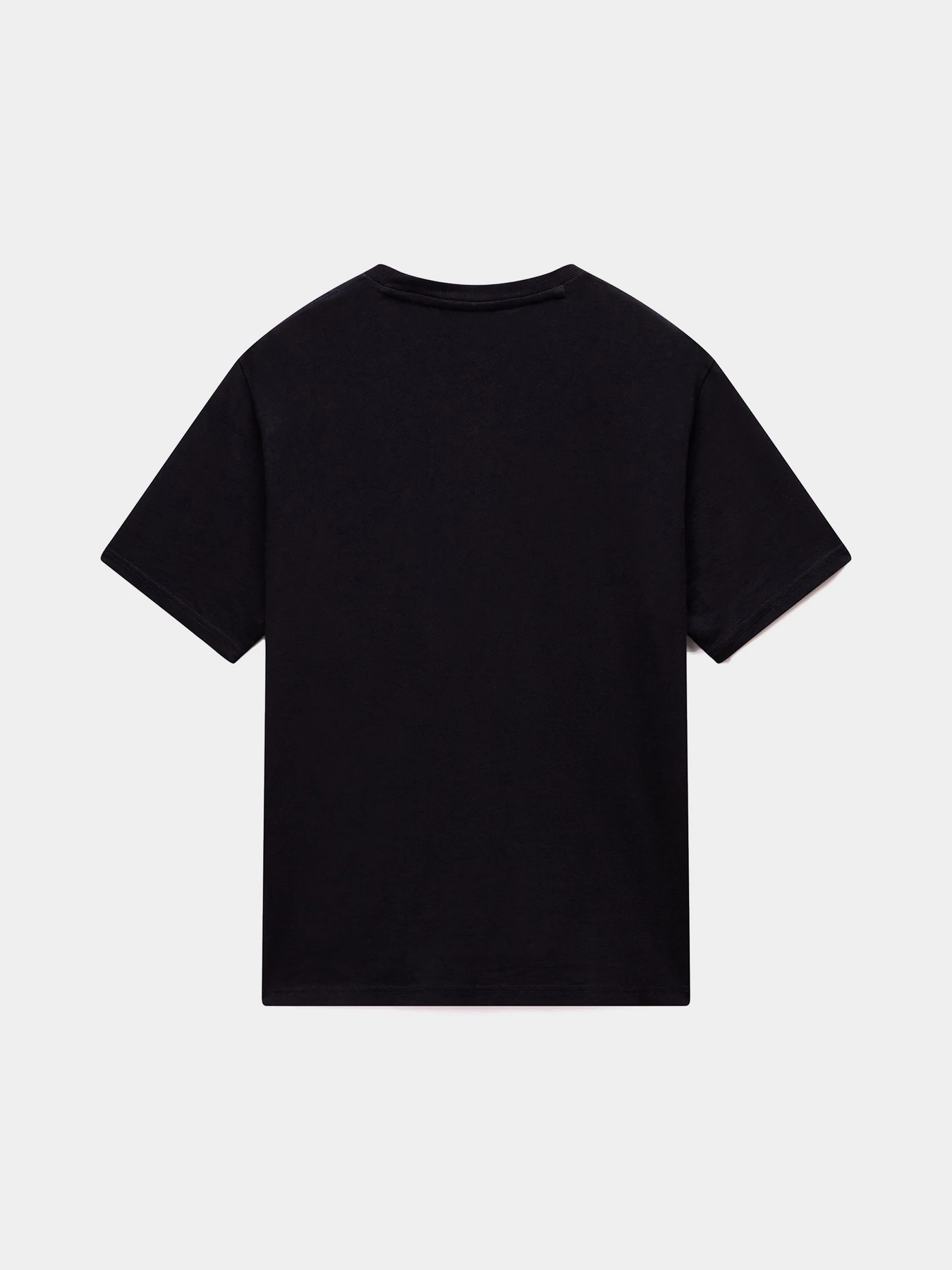 Футболки и поло Napapijri S-NEDLES модель NP0A893E9411 Футболки и поло Napapijri S-NEDLES модель NP0A893E9411 Фото