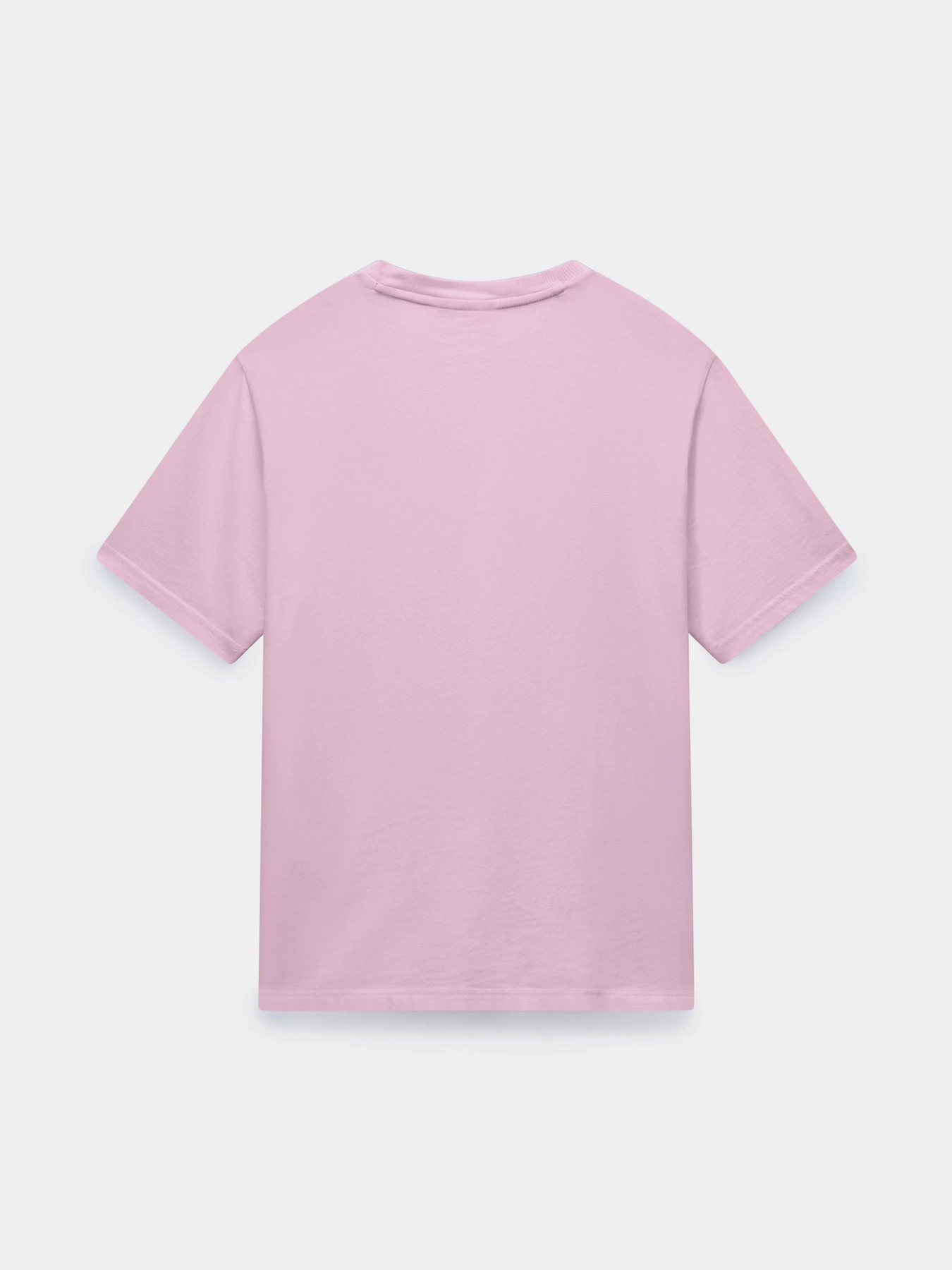 Футболки і поло Napapijri S-NEDLES модель NP0A893EP1T1 Футболки і поло Napapijri S-NEDLES модель NP0A893EP1T1 Фото