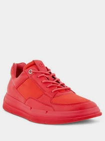 Кроссовки ECCO SOFT X модель 42048352558 Фото