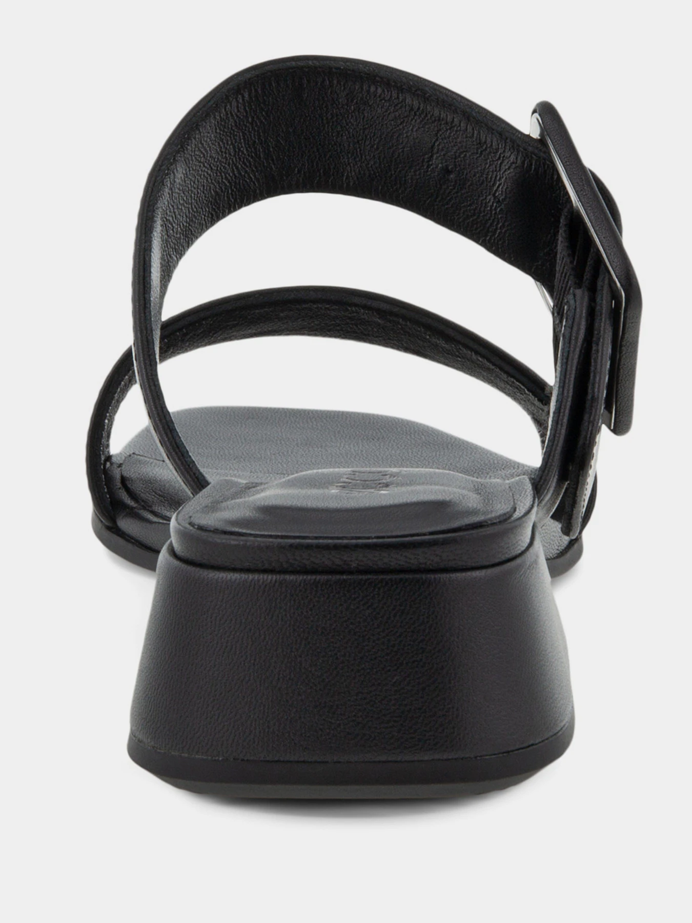 Шльопанці ECCO ELEVATE SQUARED модель 29131301001 Фото