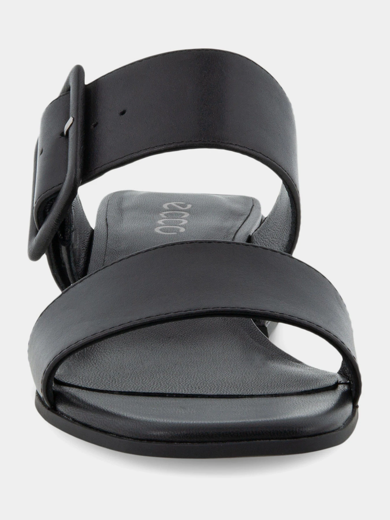 Шльопанці ECCO ELEVATE SQUARED модель 29131301001 Фото