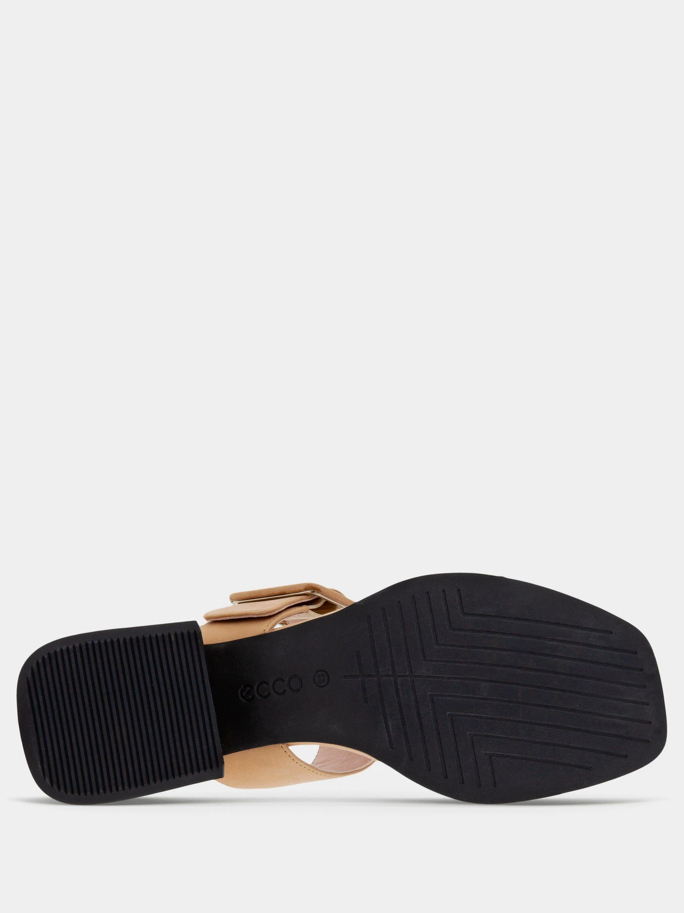 Шльопанці ECCO ELEVATE SQUARED модель 29131301021 Фото