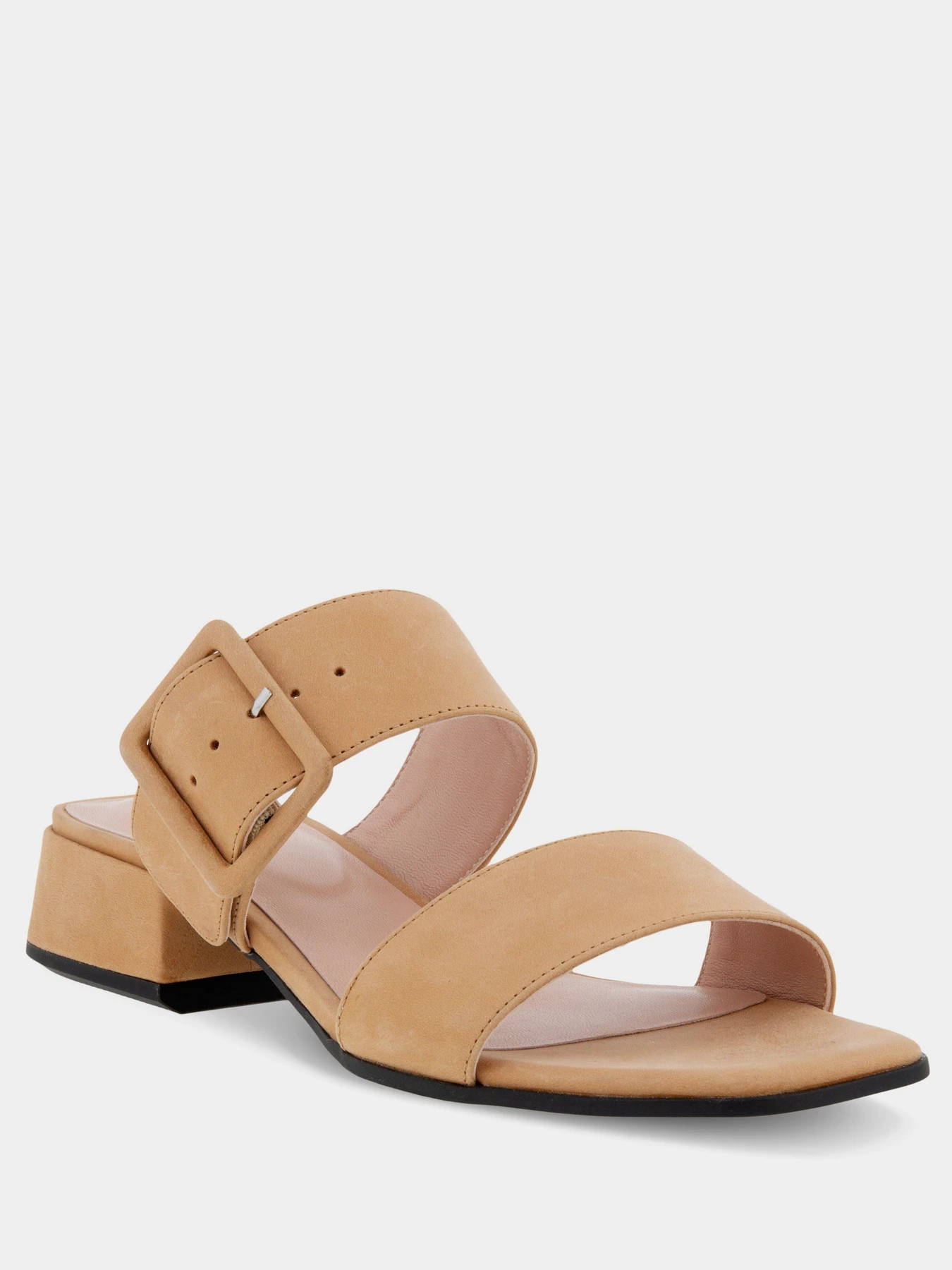 Шльопанці ECCO ELEVATE SQUARED модель 29131301021 Фото