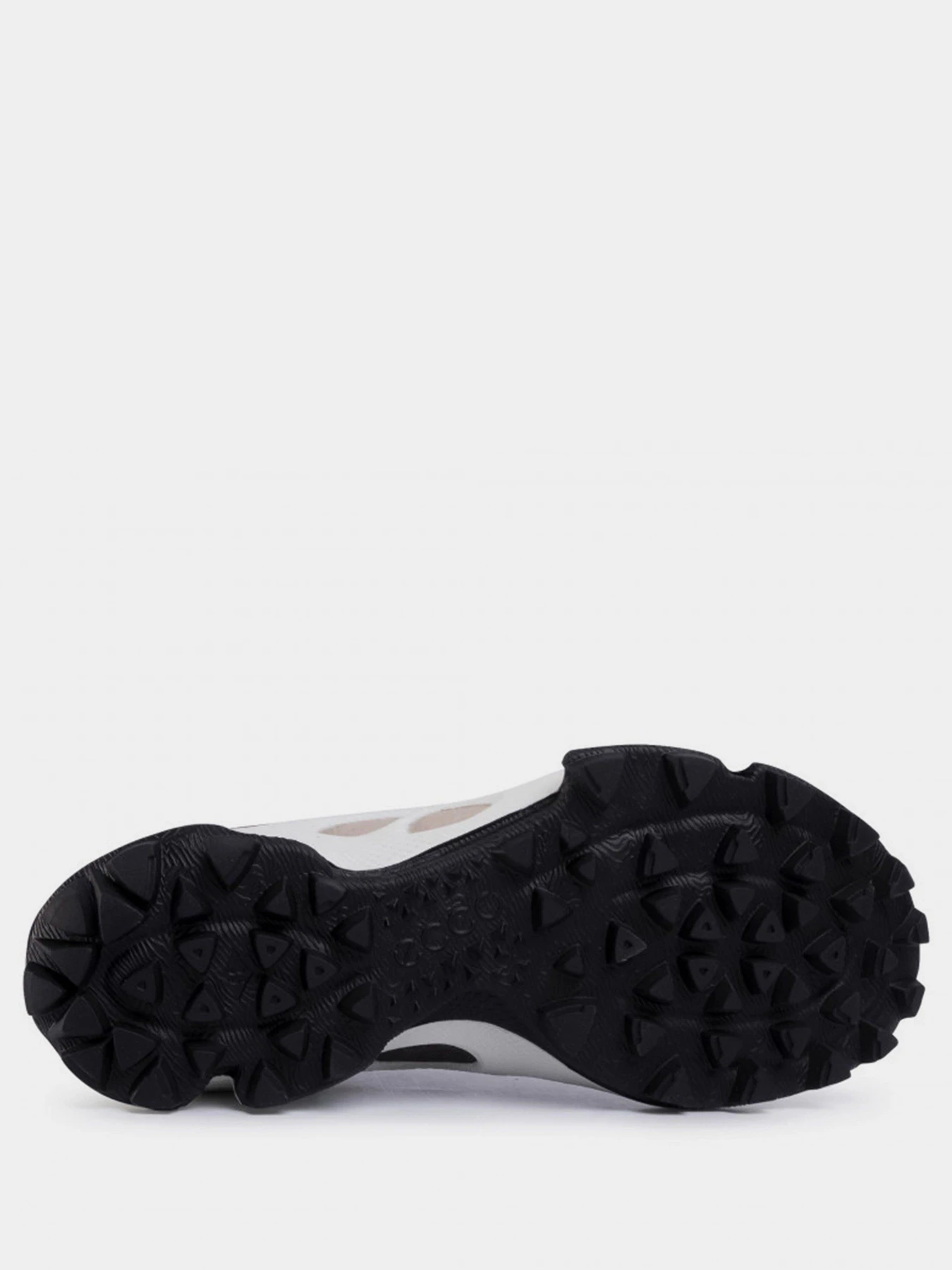 Кроссовки ECCO BIOM C-TRAIL модель 80310351832 Фото