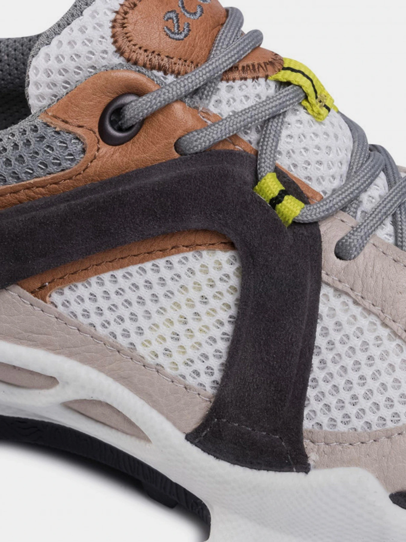 Кроссовки ECCO BIOM C-TRAIL модель 80310351832 Фото