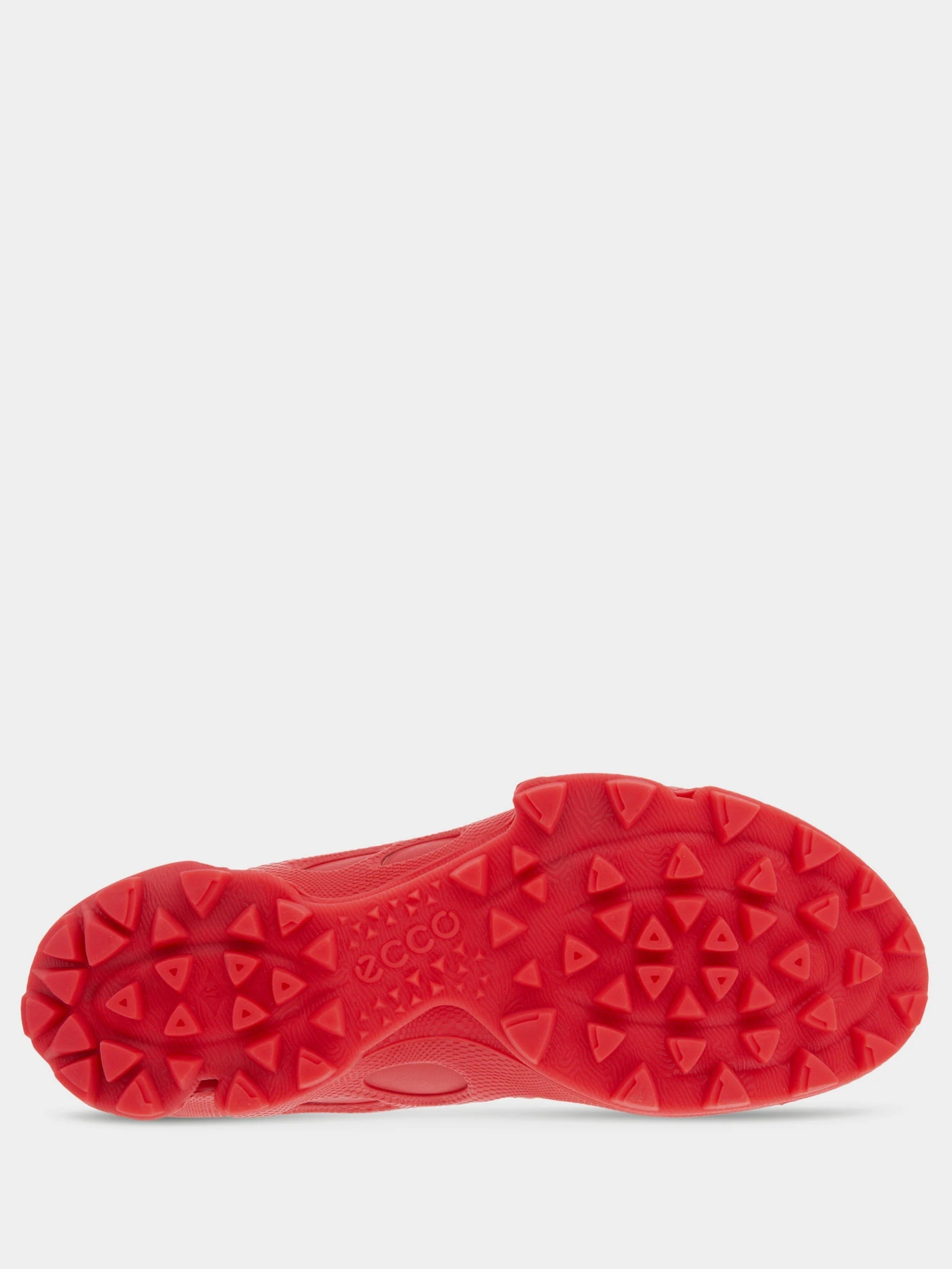 Кросівки ECCO BIOM C-TRAIL модель 80311352561 Фото